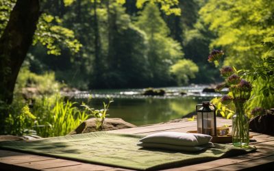 Wellness
